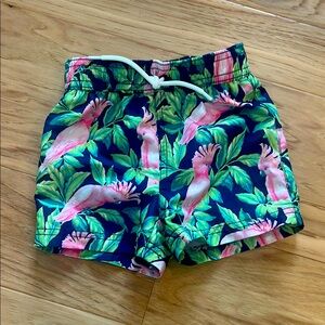 Janie and Jack Floral Print Swim Shorts